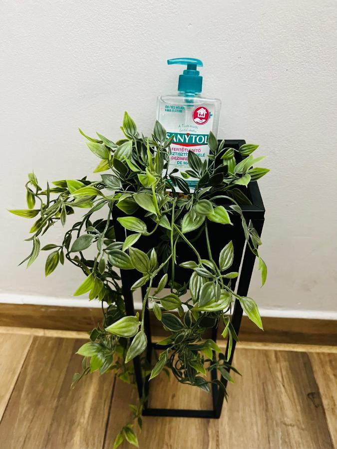Altheda Living Tineretului E8 Daire Suceava Dış mekan fotoğraf
