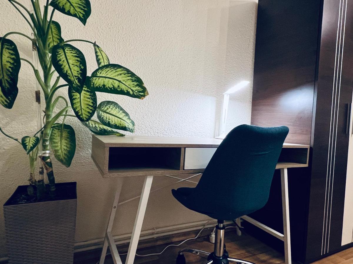 Altheda Living Tineretului E8 Daire Suceava Dış mekan fotoğraf